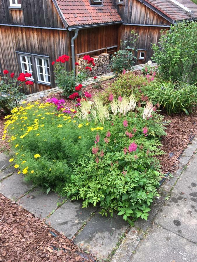 Haus Bergfriede Hotel Bad Schandau Exterior foto